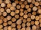 stack of wood logs background