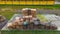 Stack of wooden pallets aerial view. Outdoor pallet storage area under the roof next to the chicken farm. Piles of Euro-type cargo