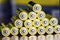 Stack of yellow AA batteries close up abstract color background