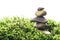 Stack of zen stones in green moss on white background. Natural backdrop for your design