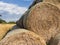 Stacked bales of straw at the edge of a field.