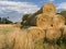 Stacked bales of straw at the edge of a field.