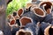 Stacked bark near cork oak in Alentejo, Portugal