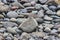 Stacked Beach stones and pebble texture for industrial background