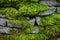 Stacked block garden wall covered in vibrant green moss