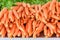 Stacked bunched of fresh raw carrots