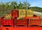 Stacked colorful crates full of harvested bunch grapes among the vineyards waiting to be taken  to the winery