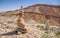 Stacked desert stones and spectacular wild flowers bloom in a desert landscape Ramon Crater, in the Negev desert , Israel