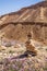 Stacked desert stones and spectacular wild flowers bloom in a desert landscape Ramon Crater, in the Negev desert , Israel