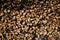 Stacked firewood closeup background texture