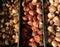 Stacked group of tulip bulbs display in wooden box at flowers market. Prepared and selected for planting and storage. Flower bulbs