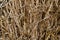 Stacked hay bale closeup background.
