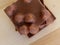Stacked hazelnut chocolate bars