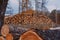 Stacked log piles in forest for wood industry in hochsauerlandkreis NRW Germany