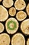 Stacked Logs Background with green plant recycle