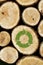 Stacked Logs Background with green plant recycle