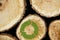 Stacked Logs Background with green plant recycle