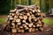 Stacked logs of firewood. Preparation for the heating season