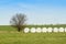 Stacked and packed hay bales, in a cultivated field