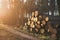 Stacked in a pile in the Czechia forest. Logging in the commercial forest. Log trunks pile of larch, pine, hornbeam, spruce.