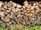 Stacked pile of seasoned cut logs neatly prepared and stored