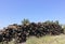 Stacked Piles Of Wooden Posts