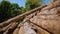 Stacked pine logs with peeled bark on sawmill yard closeup