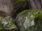 Stacked rock boulders with moss