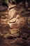 Stacked stones stone tower cairn ballance religious signs land art