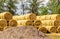 Stacked straw bales