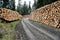 Stacked wood along a forest road