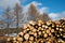 Stacked wood logs , sawn logs