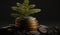 Stacking coins with growing plant,the concept of financial growth and investment