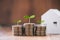 Stacking dollars coins tree growing on coins and a house model.save and investment for buy house concept .for the future