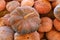 Stacking of pumpkins at the agricultural storage shed