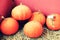 Stacking of pumpkins at the agricultural storage shed