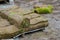 Stacking of roll green lawn green grass in rolls for lawn and designer landscape.