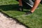 Stacking of roll sod. Hands in gardening gloves laying turf installing new green lawn