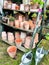 Stacks of clay pots on a wooden shelf in a country garden