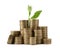 Stacks of coins and green plant on white background. Prosperous business