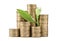 Stacks of coins and green plant on white background. Prosperous business