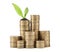 Stacks of coins and green plant on white background. Prosperous business