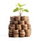 Stacks of coins, Money with plants sprout on top, Wealth growing step by step, Finance and accounting concept,AI generated