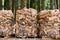 Stacks of firewood lie in transparent mesh bags on pallets among the trees