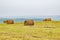 Stacks of fresh hay, rolled up in a roll lie on the hill