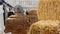 Stacks of hay at an indoor petting farm.