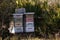 Stacks of langstroth bee hives with honeybees flying