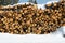 Stacks of logs cut by loggers in the snow