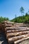 Stacks of logs at a forest logging site