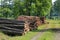 Stacks of Logs by Road at Summer